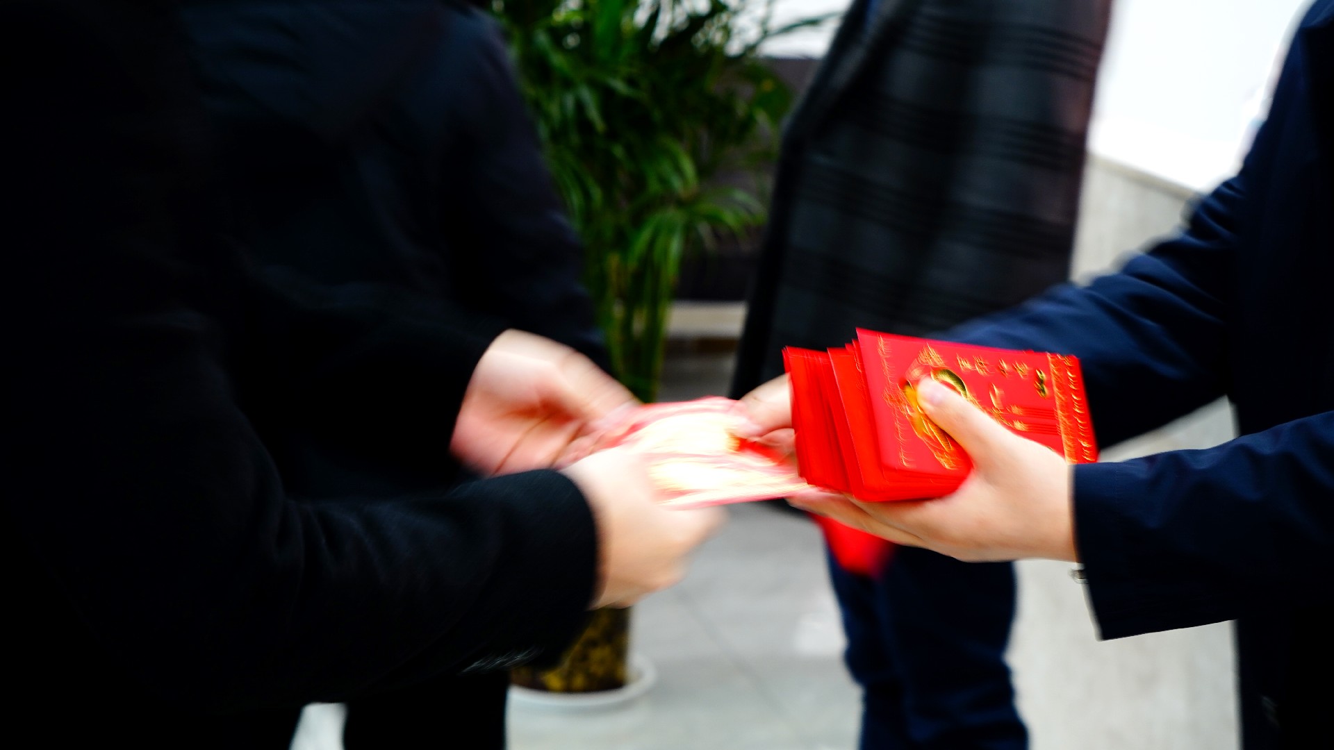 1675065060149451.jpg 2.jpg